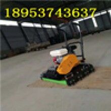 2020包郵彩磚手扶路面平板夯小型電動(dòng)平板夯