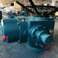 揚(yáng)州揚(yáng)修智能隔爆型執(zhí)行器F-DZB60防爆等級(jí)BT4