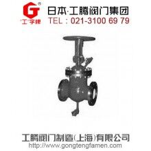 進口帶吹掃孔閘閥
