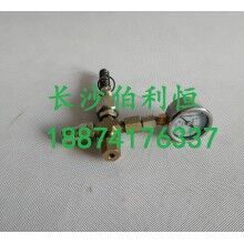 批發(fā)原裝正品攪拌機(jī)配件，三一JX3000潤(rùn)滑油泵芯